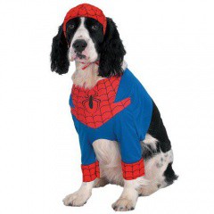 Disfressa Spiderman
