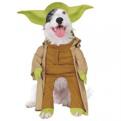 Disfressa Yoda